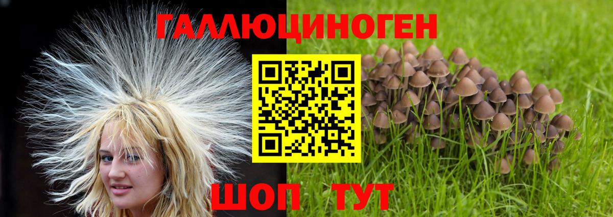 Псилоцибиновые грибы Cubensis  Галлюциногенные грибы MAGIC MUSHROOMS  Удомля  купить наркотик  Вход с VPN 