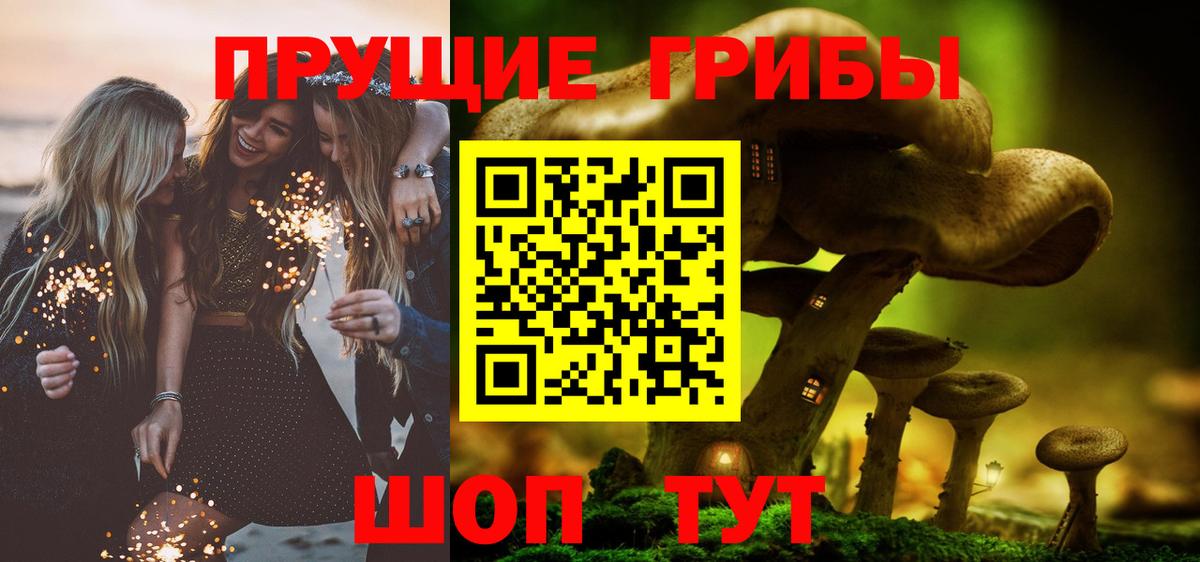 Галлюциногенные грибы Psilocybine cubensis Удомля